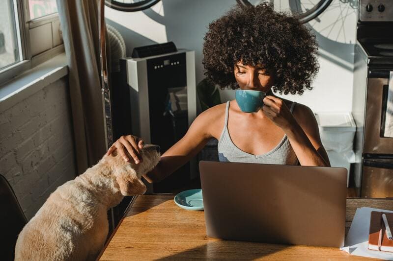 donna col cane al pc per i corsi online