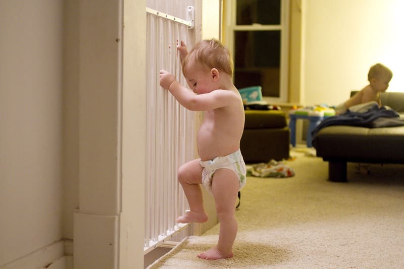 Cancelletto per cani e bambini